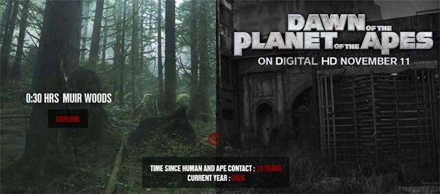 File:Dawn website.jpg