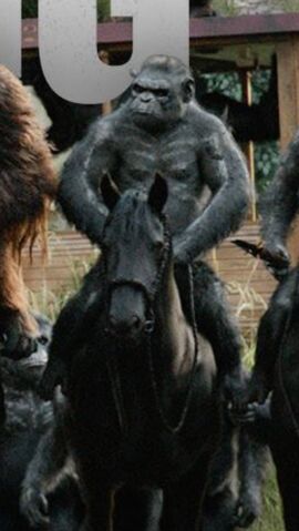 File:Grey on horse.jpeg