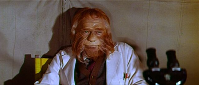 File:Screen Test3.jpg
