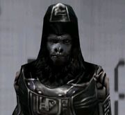 Ursus (game)
