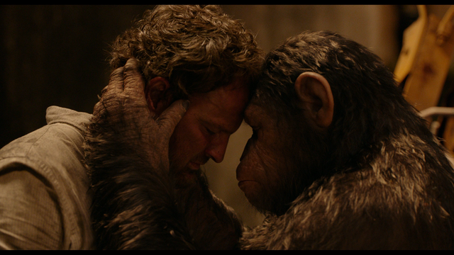 File:Caesar & Malcolm.png