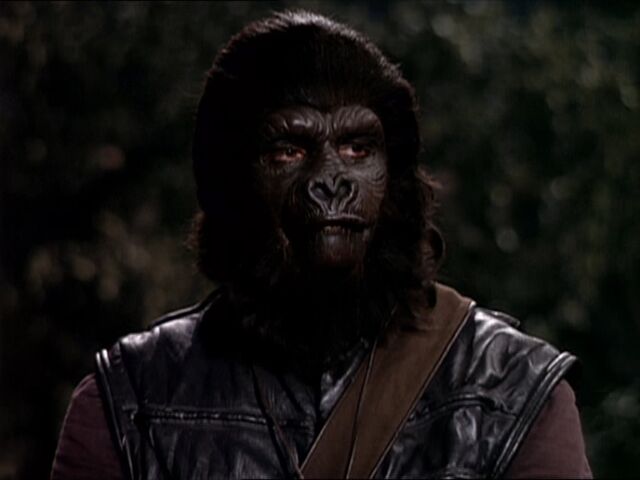 File:Police gorilla2.jpg