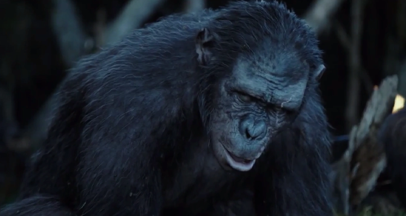 Koba Rise Of The Planet Of The Apes Rise of the planet of the apes koba - markslasem