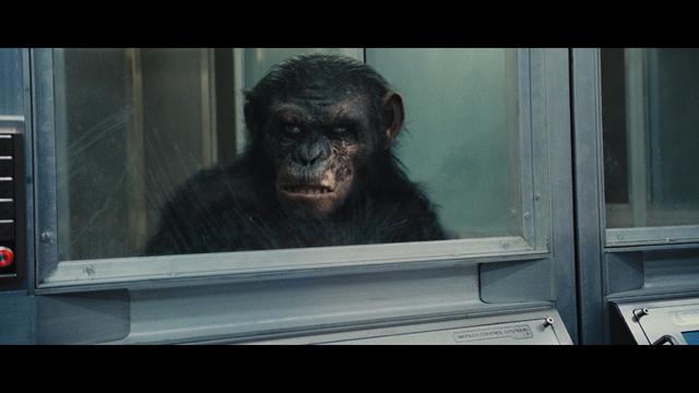File:Koba in Rise.png