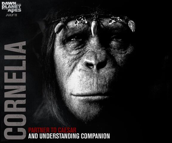 File:Cornelia and Compassion.jpg