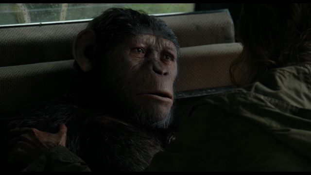 File:Ellie holding Wounded Caesar.png