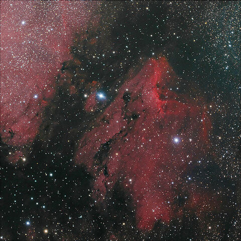 File:Pelican Nebula.jpg