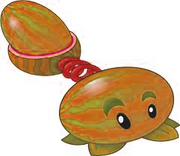 Autumn melon
