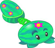 Spring melon