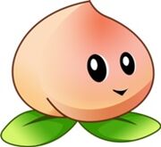 Heavenly Peach!
