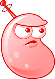 HD RED BEAN