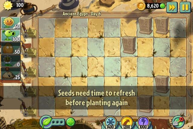 File:Marigoldaction.jpg