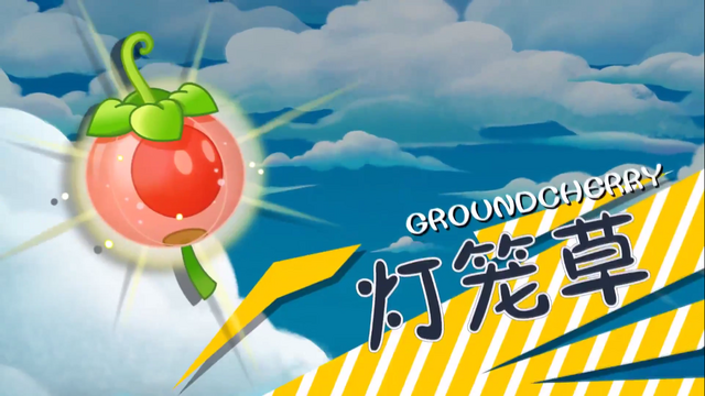 File:Groundcherry in Trailer.png