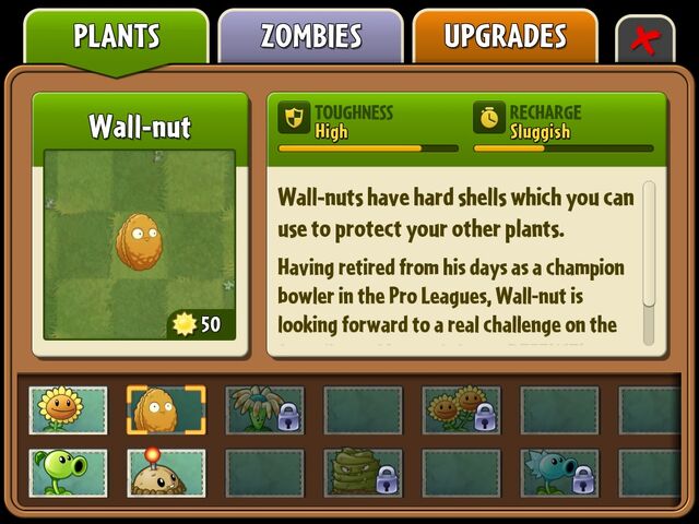 File:Wallnut.jpg