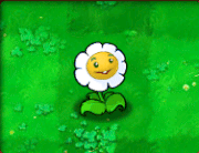 39Marigold.gif