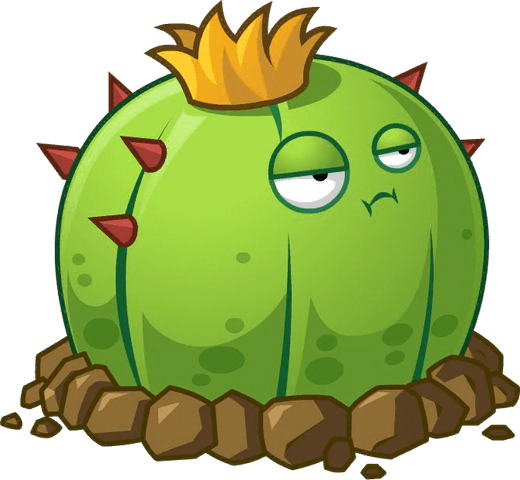 File:Cactu close up.png
