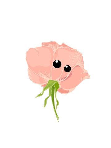 File:Rosei.jpg