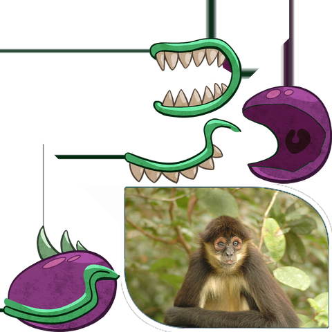 File:Chomper thing.png
