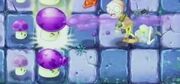 FumePLANTFOOD.jpg