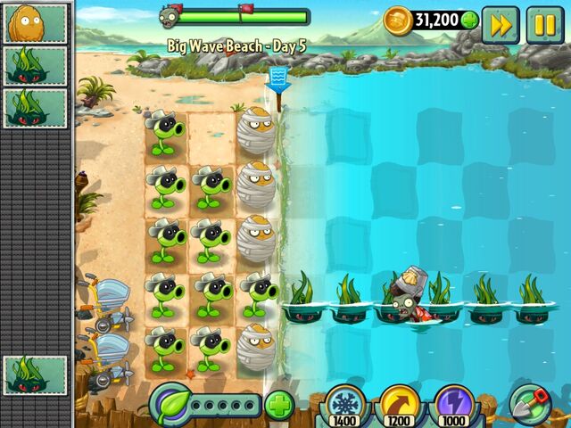 File:Tangel Kelp Bug.jpeg