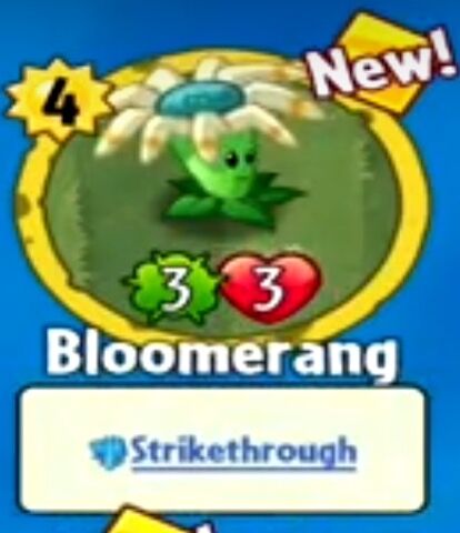 File:Receiving Bloomerang.jpeg
