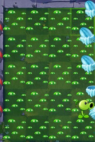 File:Mold Colonies in Piñata Party.jpg