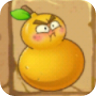 Fire Gourd2