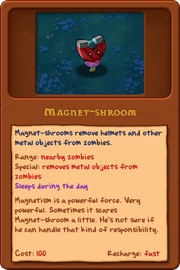 New magnet.png