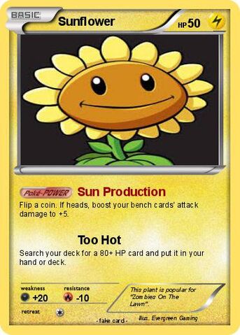 File:Sunflower4987.jpg