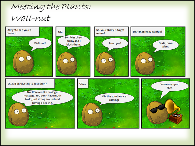 File:P. Wall-nut.png