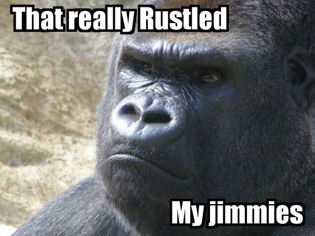 File:MyJimmies.jpg