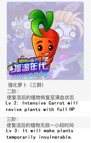File:Intensive Carrot Chinese.jpg