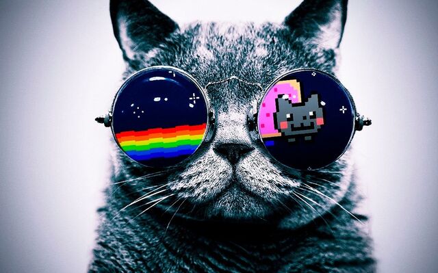 File:Cool-Macro-font-b-Nyan-b-font-font-b-Cat-b-font-Glasses-Silk-Cloth-Poster.jpg