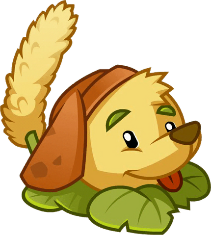 File:Gouweibacao close up.png