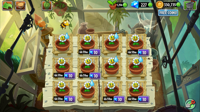 File:Marigold Garden.png