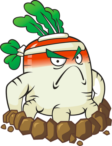 File:White Radish HD.png