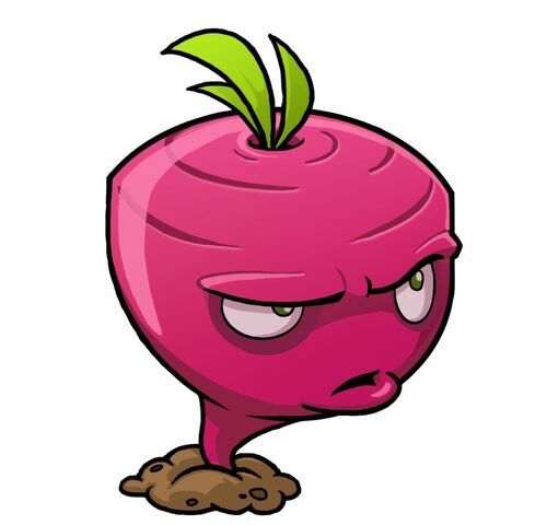 File:Beet.jpeg