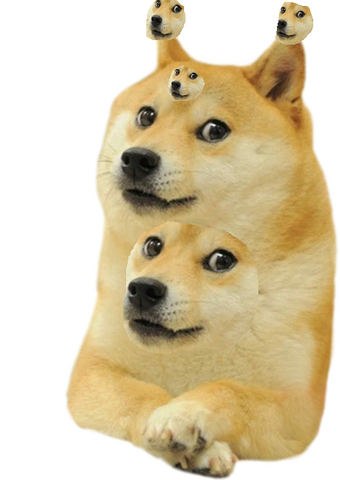 File:DOGE DOGE.png