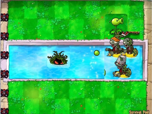 File:TangleKelpShoots.jpg