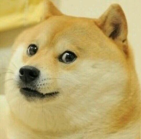 File:WowMuchDogeVerySuchwow.jpeg