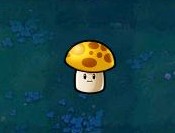 Sunshroom1