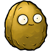 Wallnut body