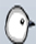 File:Bird Head.jpg