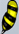 File:Bee body.jpg