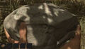 Thumbnail for version as of 23:20, December 14, 2013