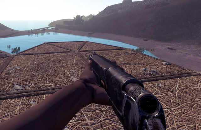 File:Pump shotgun in game.jpg