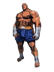 Sagat sat