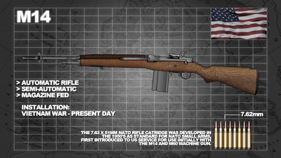 8-ammo-info