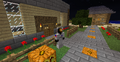 Thumbnail for version as of 19:50, January 21, 2013