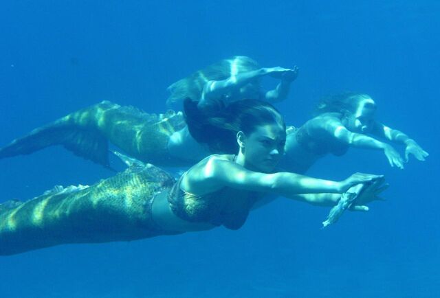 Datei:Underwater.jpg